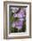 Iris-Lynn M^ Stone-Framed Photographic Print