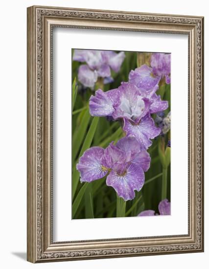 Iris-Lynn M^ Stone-Framed Photographic Print