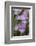 Iris-Lynn M^ Stone-Framed Photographic Print