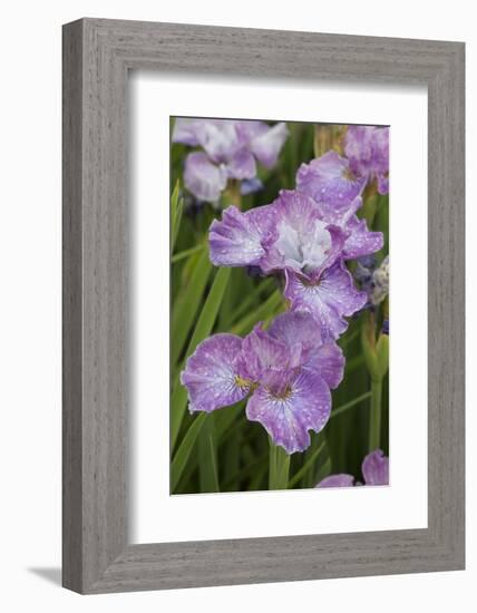 Iris-Lynn M^ Stone-Framed Photographic Print