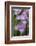 Iris-Lynn M^ Stone-Framed Photographic Print