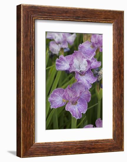 Iris-Lynn M^ Stone-Framed Photographic Print