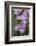 Iris-Lynn M^ Stone-Framed Photographic Print