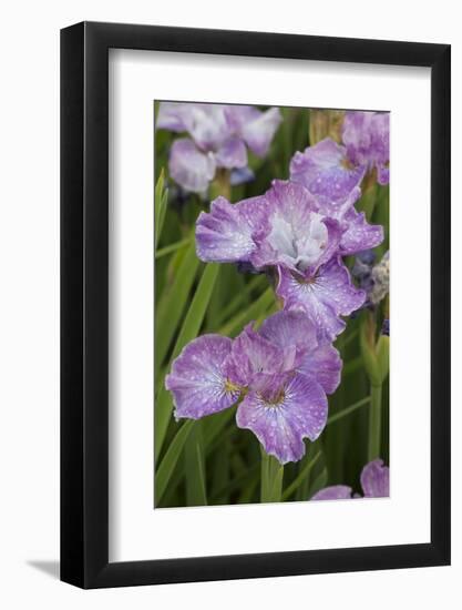 Iris-Lynn M^ Stone-Framed Photographic Print