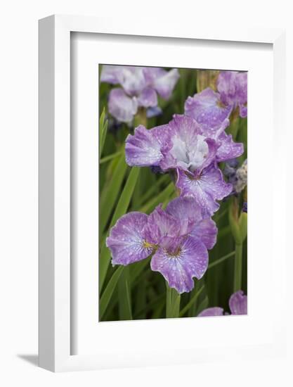 Iris-Lynn M^ Stone-Framed Photographic Print