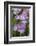 Iris-Lynn M^ Stone-Framed Photographic Print