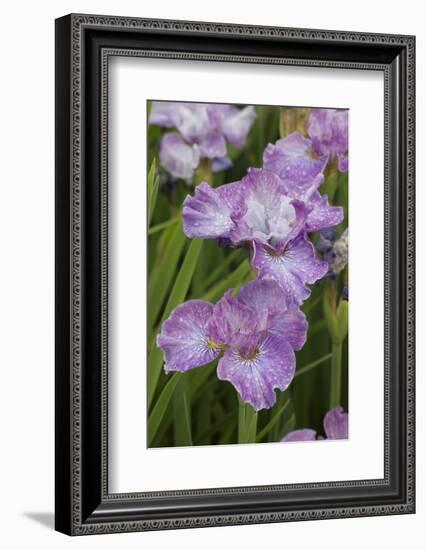 Iris-Lynn M^ Stone-Framed Photographic Print