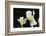 Iris-Lynn M^ Stone-Framed Photographic Print