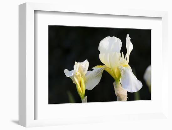 Iris-Lynn M^ Stone-Framed Photographic Print