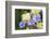 Iris-Lynn M^ Stone-Framed Photographic Print