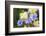 Iris-Lynn M^ Stone-Framed Photographic Print