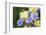 Iris-Lynn M^ Stone-Framed Photographic Print