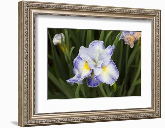 Iris-Lynn M^ Stone-Framed Photographic Print