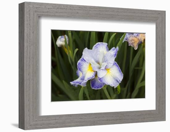 Iris-Lynn M^ Stone-Framed Photographic Print