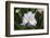 Iris-Lynn M^ Stone-Framed Photographic Print