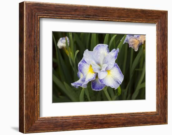 Iris-Lynn M^ Stone-Framed Photographic Print