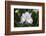 Iris-Lynn M^ Stone-Framed Photographic Print