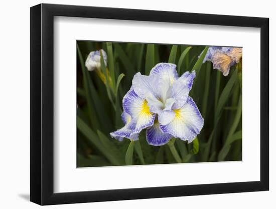 Iris-Lynn M^ Stone-Framed Photographic Print