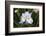 Iris-Lynn M^ Stone-Framed Photographic Print