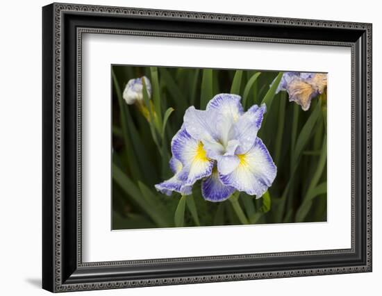 Iris-Lynn M^ Stone-Framed Photographic Print