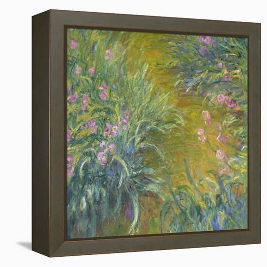 Iris-Claude Monet-Framed Premier Image Canvas