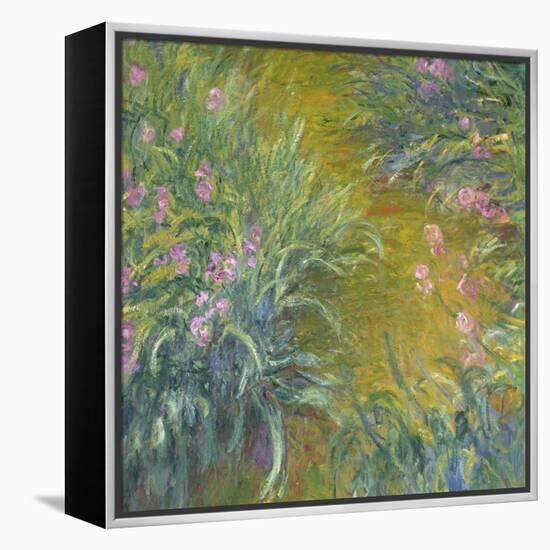 Iris-Claude Monet-Framed Premier Image Canvas