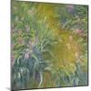 Iris-Claude Monet-Mounted Giclee Print