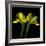 iris-Magda Indigo-Framed Photographic Print