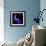 iris-Magda Indigo-Framed Photographic Print displayed on a wall