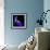 iris-Magda Indigo-Framed Photographic Print displayed on a wall