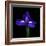 iris-Magda Indigo-Framed Photographic Print