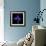 iris-Magda Indigo-Framed Photographic Print displayed on a wall