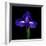 iris-Magda Indigo-Framed Photographic Print