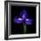 iris-Magda Indigo-Framed Photographic Print