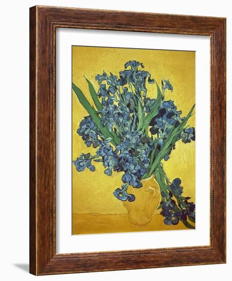 Iris-Vincent van Gogh-Framed Giclee Print