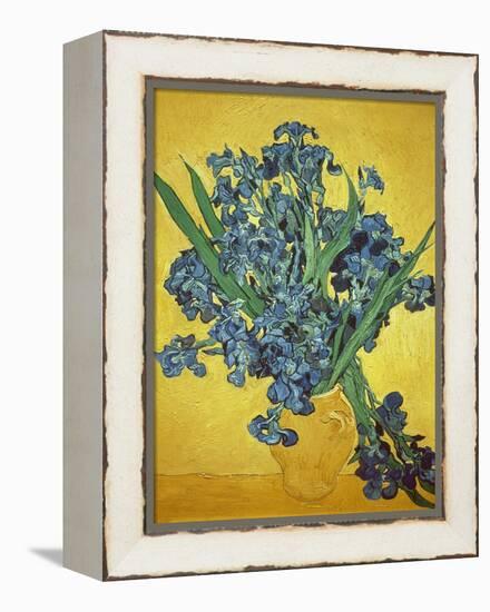 Iris-Vincent van Gogh-Framed Premier Image Canvas