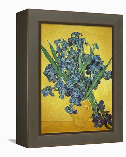 Iris-Vincent van Gogh-Framed Premier Image Canvas