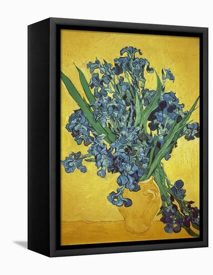 Iris-Vincent van Gogh-Framed Premier Image Canvas