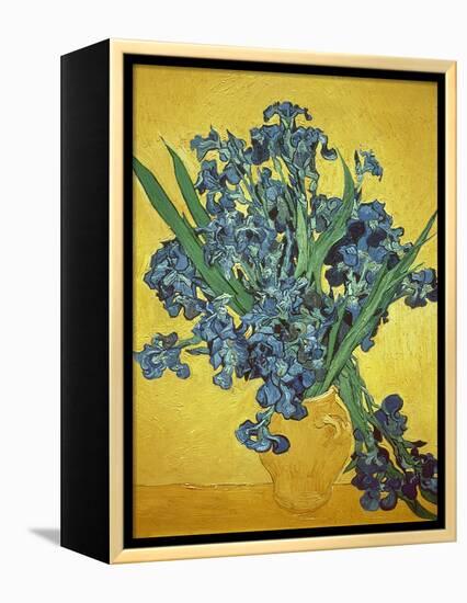 Iris-Vincent van Gogh-Framed Premier Image Canvas