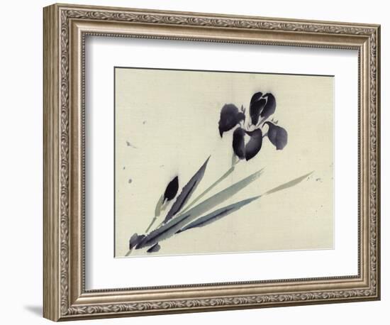 Iris-null-Framed Giclee Print