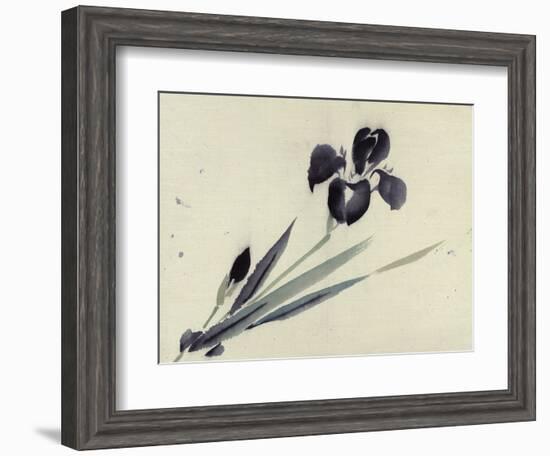 Iris--Framed Giclee Print