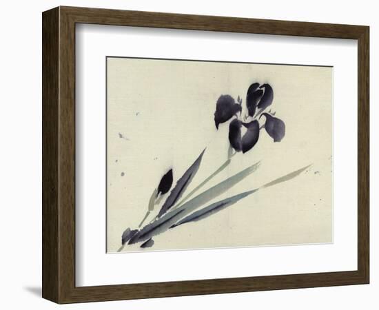 Iris-null-Framed Giclee Print