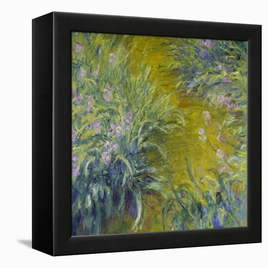 Iris-Claude Monet-Framed Premier Image Canvas