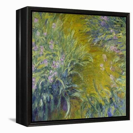 Iris-Claude Monet-Framed Premier Image Canvas