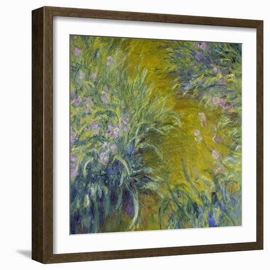 Iris-Claude Monet-Framed Giclee Print