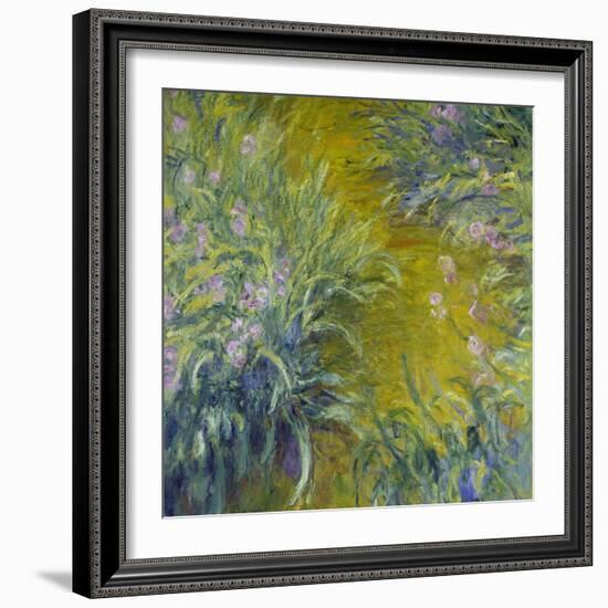 Iris-Claude Monet-Framed Giclee Print