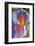 Iris-Charles Bowman-Framed Photographic Print