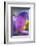 Iris-Charles Bowman-Framed Photographic Print