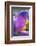 Iris-Charles Bowman-Framed Photographic Print