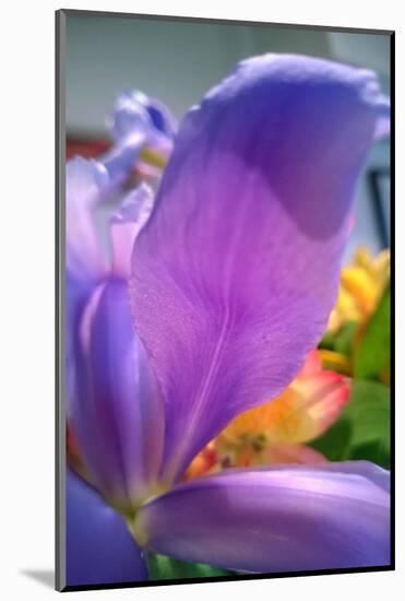 Iris-Charles Bowman-Mounted Photographic Print